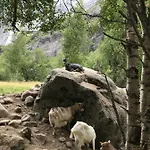Fjord *