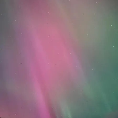Fjord Apartmán