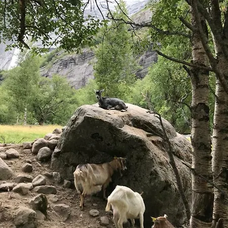 Fjord *