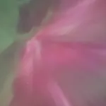 아파트 Fjord